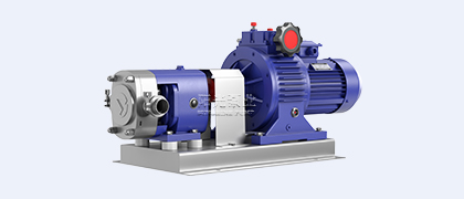 LQ型無極調(diào)速轉(zhuǎn)子泵