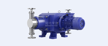 DZ-D2型柱塞式計量泵